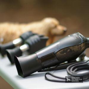 The Best Dog Dryers for Golden Retrievers