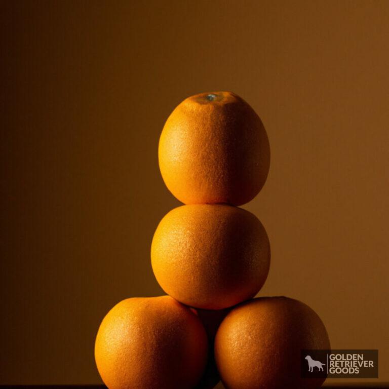 Can Golden Retrievers Eat Oranges?