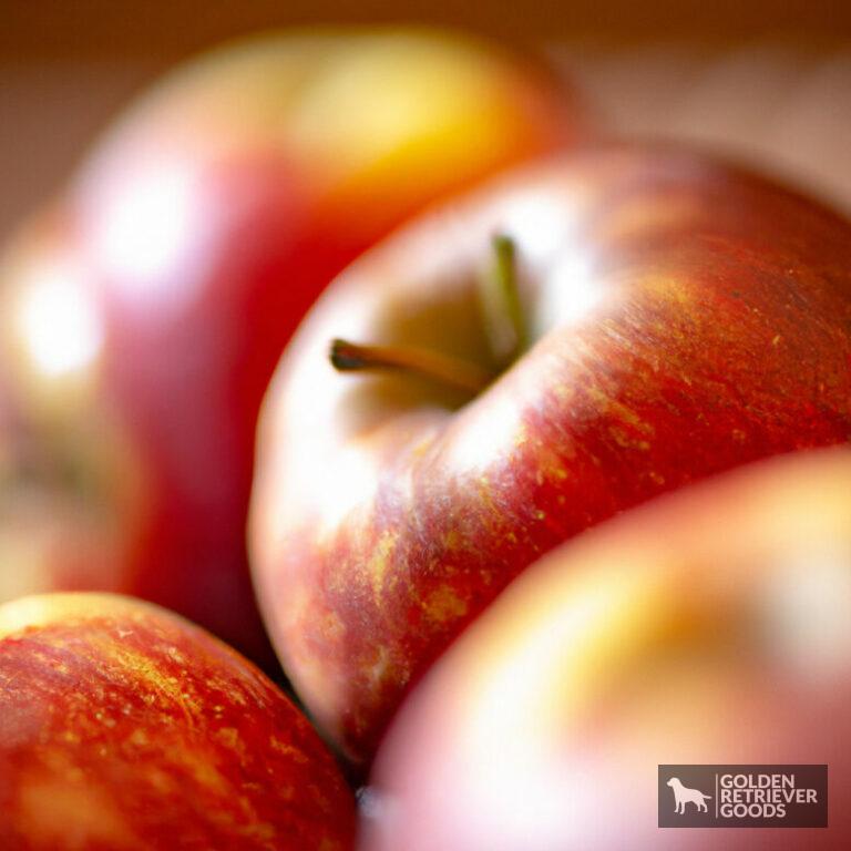 Can Golden Retrievers Eat Apples?