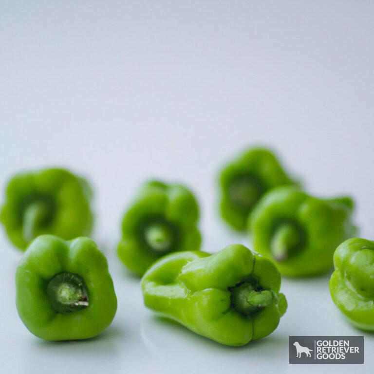 Can Golden Retrievers Eat Green Peppers?