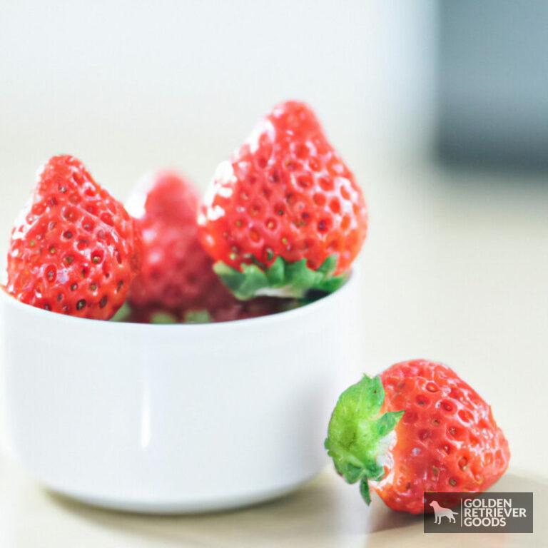 Can Golden Retrievers Eat Strawberries?