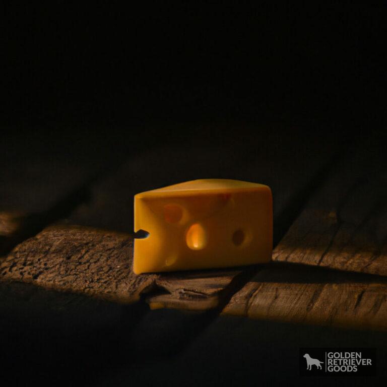 Can Golden Retrievers Eat Cheese?