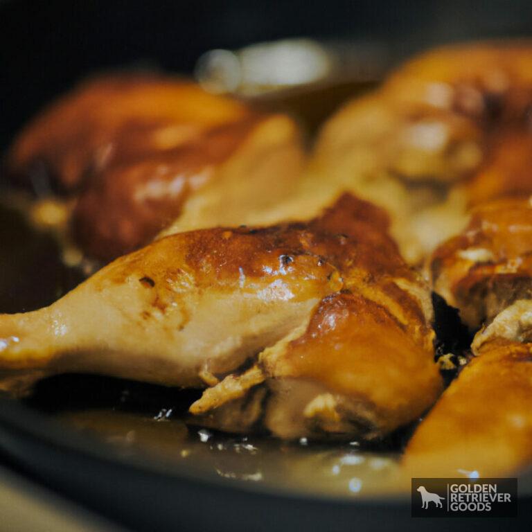 Can Golden Retrievers Eat Chicken?