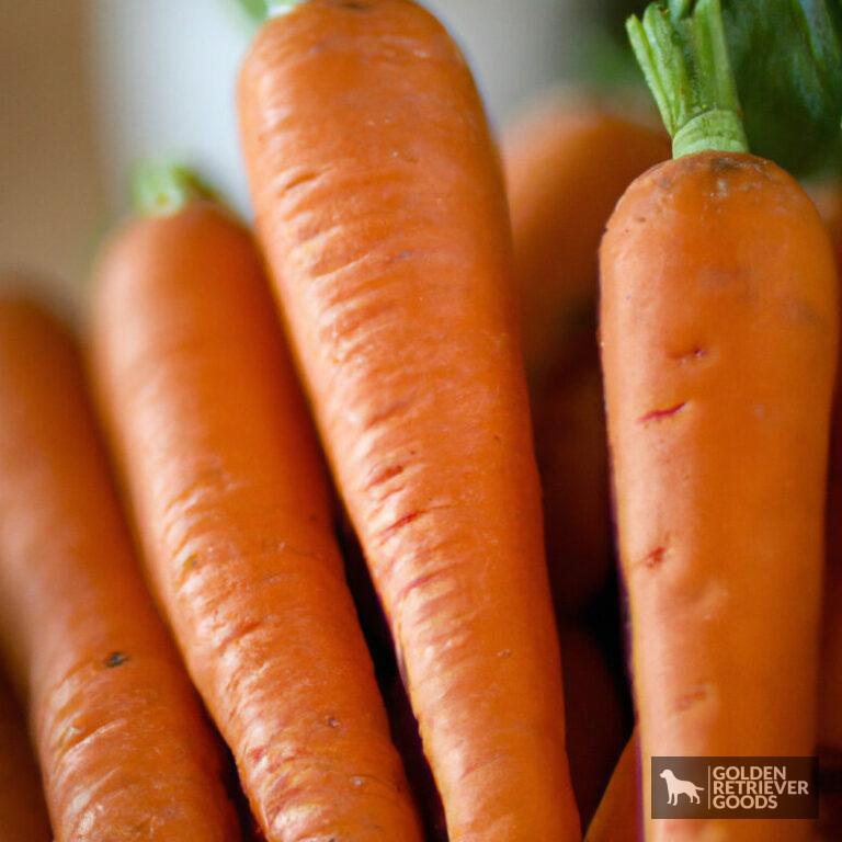 Can Golden Retrievers Eat Carrots?