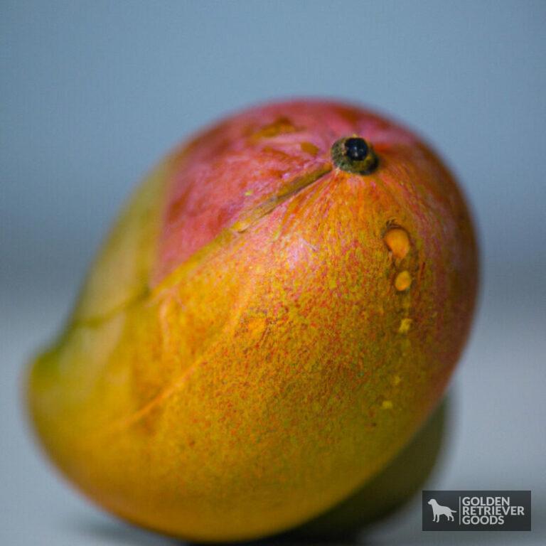 Can Golden Retrievers Eat Mangoes?