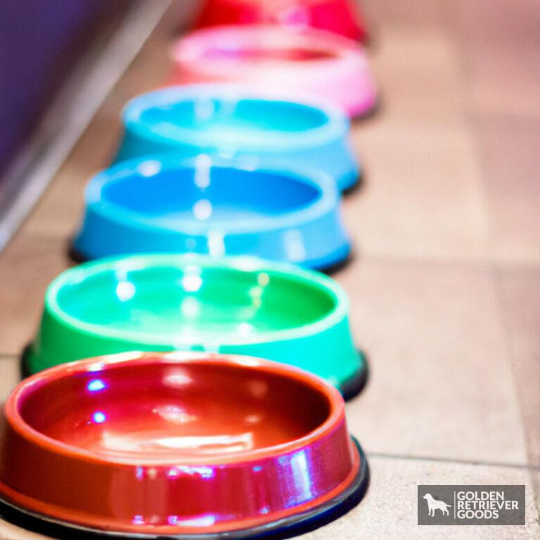 The Best Dog Bowls For Golden Retrievers Golden Retriever Goods the-best-dog-bowls-for-golden-retrievers-golden-retriever-goods